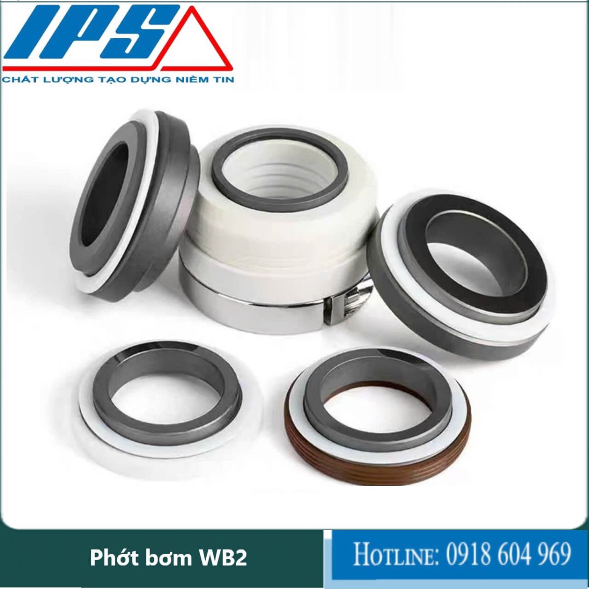 Phớt bơm WB2-20(1).